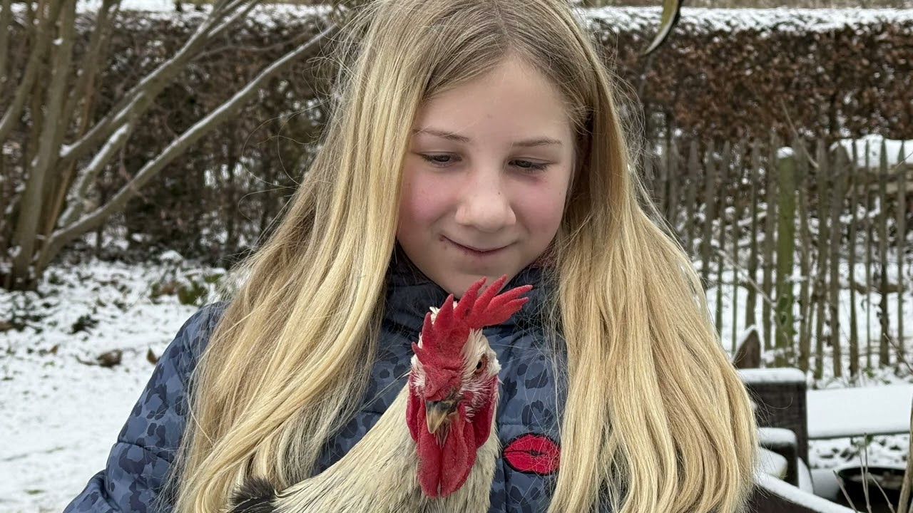kippies in de sneeuw