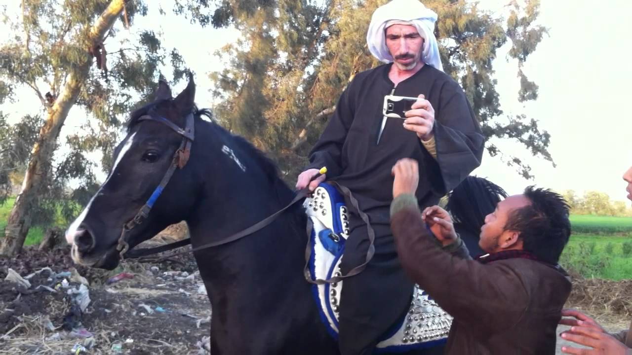 المدرب عصام البحراوى