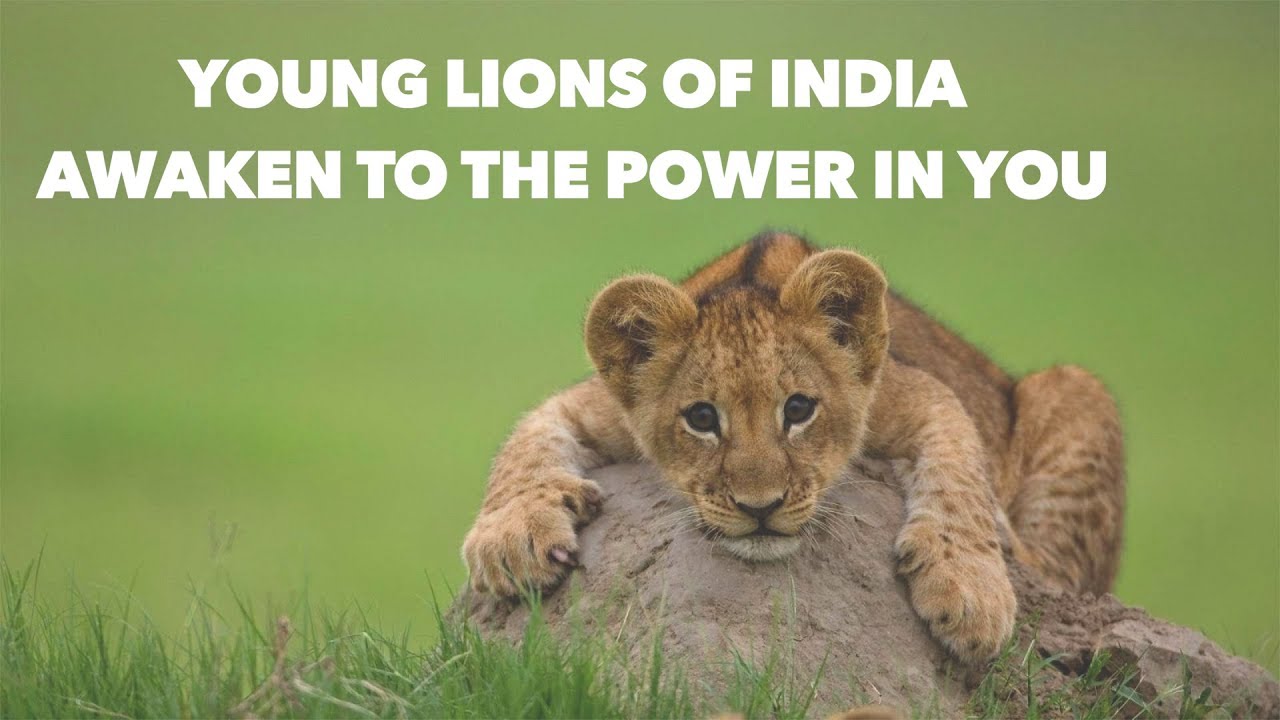 Young Lions of India BSG song and lyrics