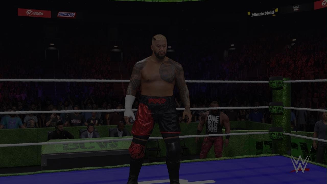 WWE 2K25 AWE/BCW/FCW #10,10 & 10 Anniversary 5 main Event