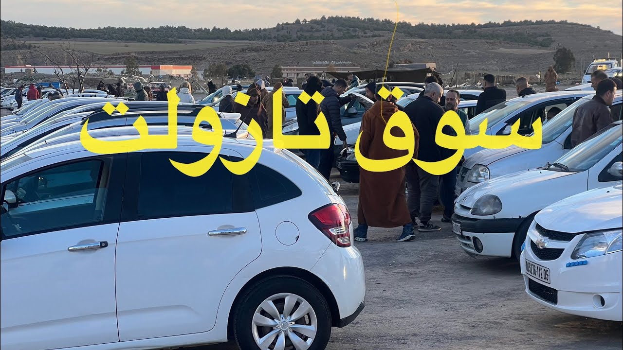 أسعار السيارات من سوق تازولت ولاية باتنة ليوم الخميس 12 فيفري 2026