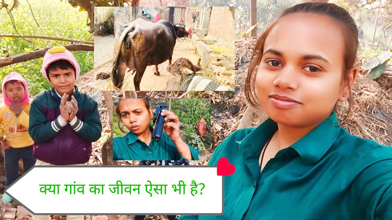 Papa Ji ke Saath Kheton Ka Din🌾| Madhumakkhi Ka Attack 😱| Mummy Chali Gayi Ghumne 😔Real Village Vlog