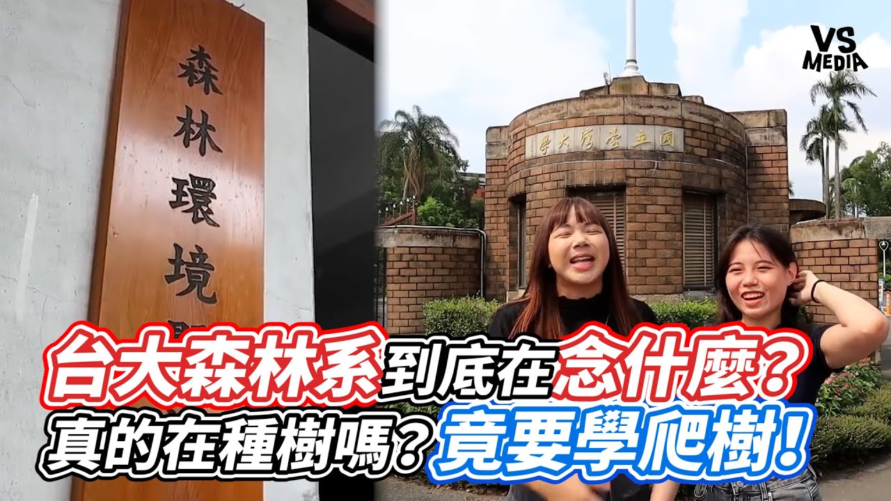 台大森林系到底在念什麼？真的在種樹嗎？竟要學爬樹！｜VS MEDIAｘ@DiDa324