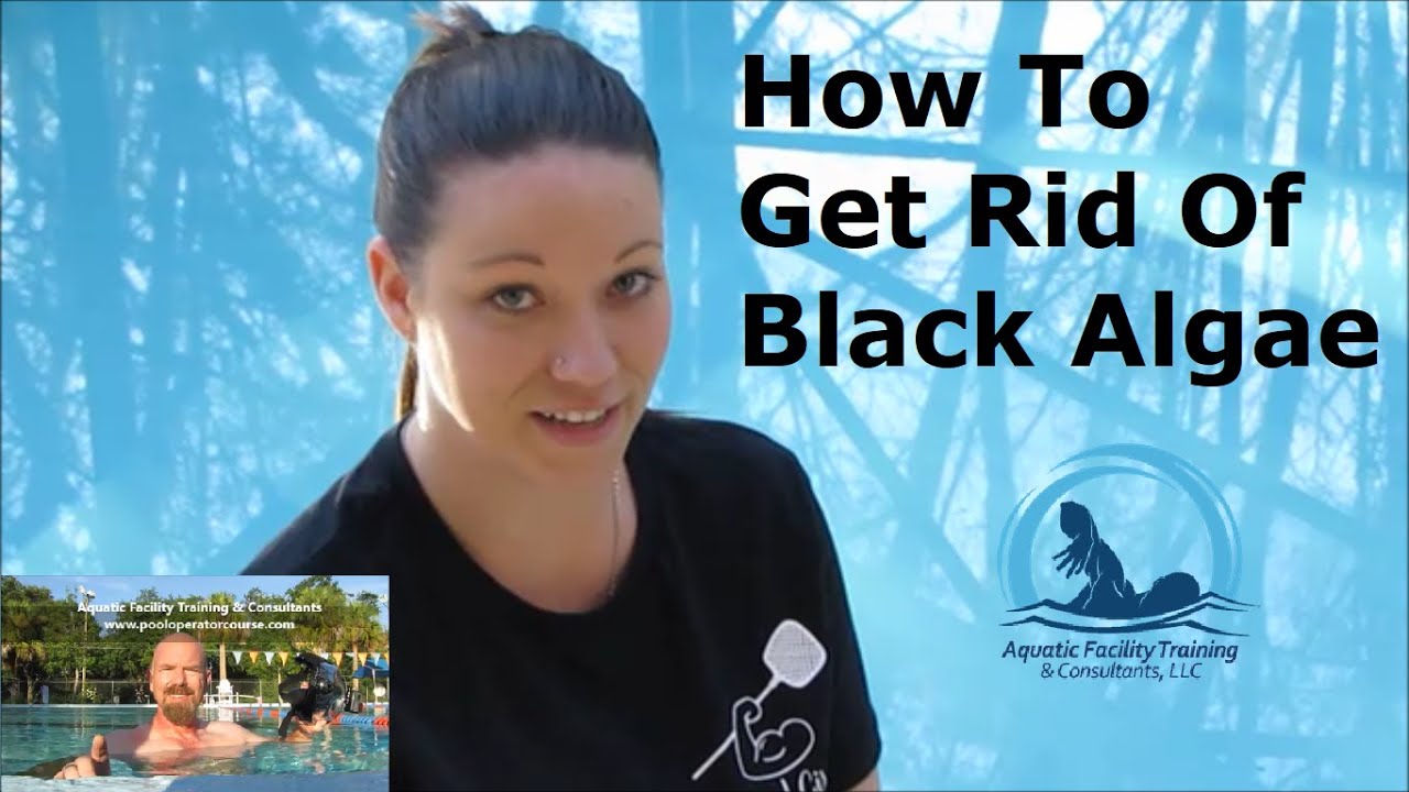How to Get Rid of Swimming Pool Algae