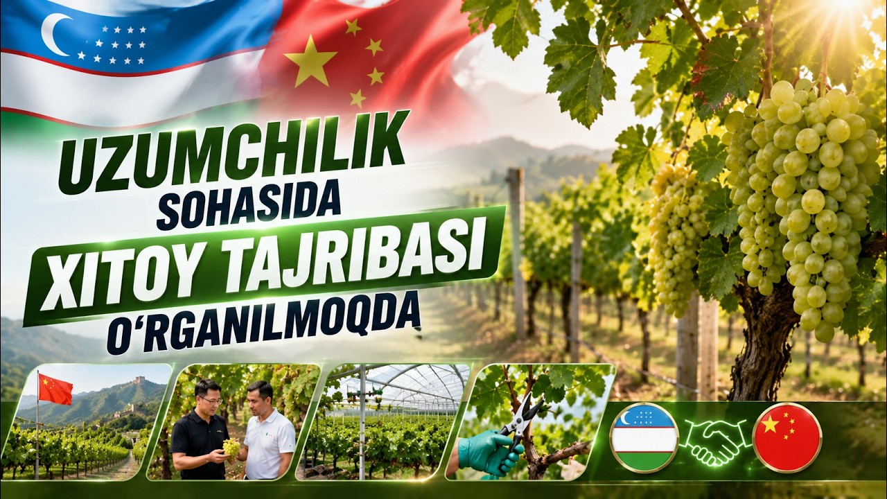 20 марта 2026 г.