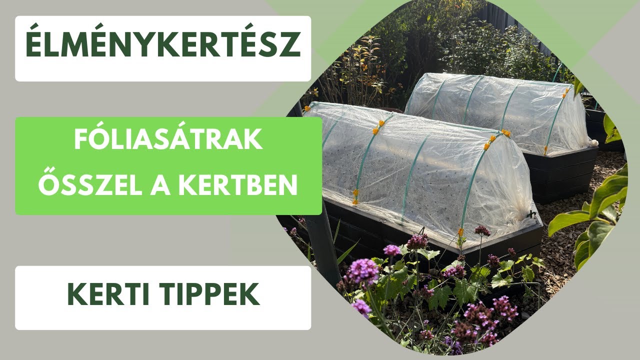 Fóliasátor a kertben- Így hosszabítsd meg a veteményezés időszakát!🥬