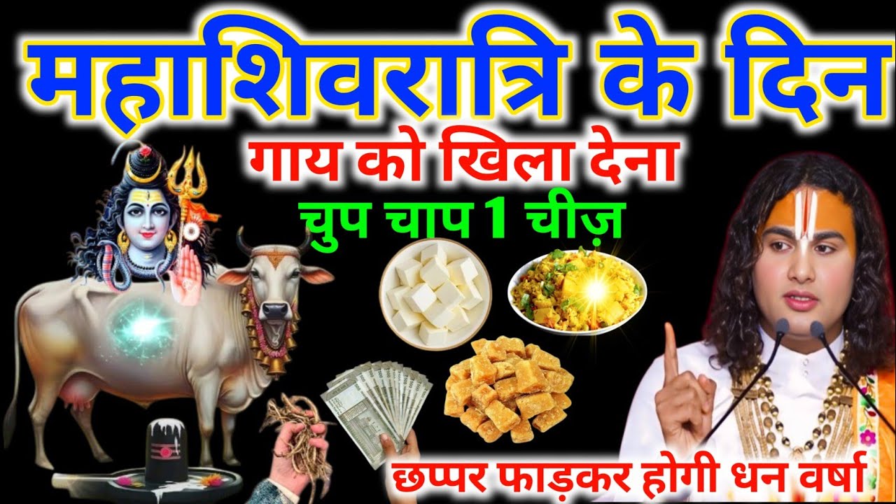 महाशिवरात्रि के दिन गाय को खिला देना,चुप चाप 1 चीज़,छप्पर फाड़कर होगी धन वर्षा #aniruddhacharyaji 