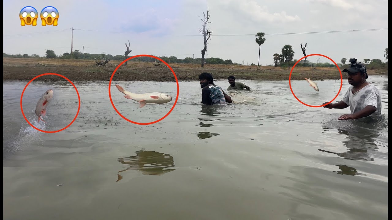 చిన్న బొంద లో రవ్వ చేపలు మస్తున్నయ్ మమ్ముల్ని ఒక ఆట ఆడుకున్నయ్ మామ bro Big Rohu Village Net fishing