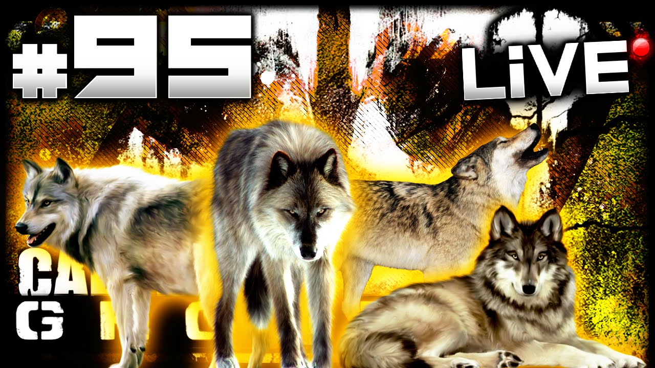 CoD Ghosts: WOLF PACK Gameplay! - LiVE w/ Elite #95 (Call of Duty Ghost Multiplayer Gameplay)