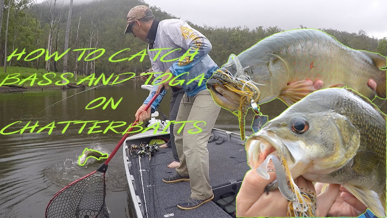 Breaking Down Chatterbaits for Australian Bass (Cheeky Saratoga thrown in)