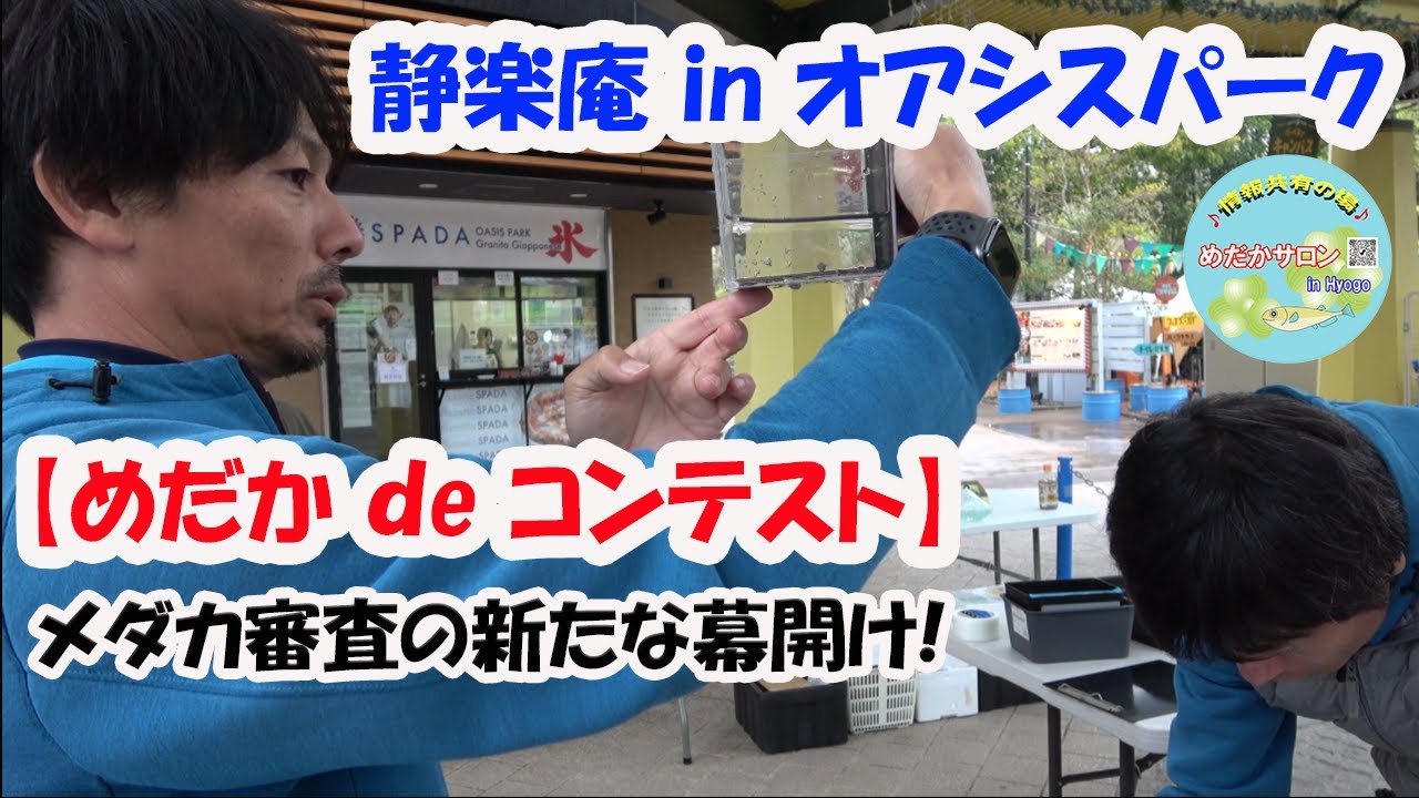 第129回 【静楽庵めだか De コンテスト】