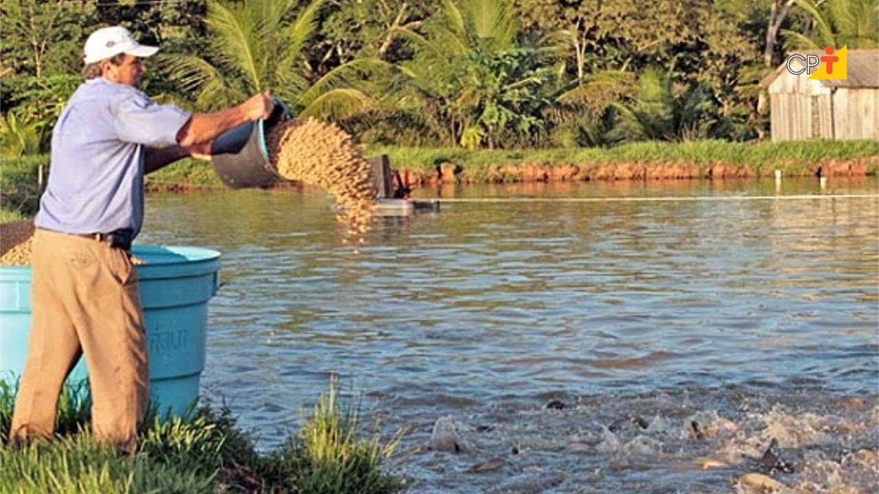 Alimentação de Peixes - Curso a Distância Nutrição e Alimentação de Peixes CPT
