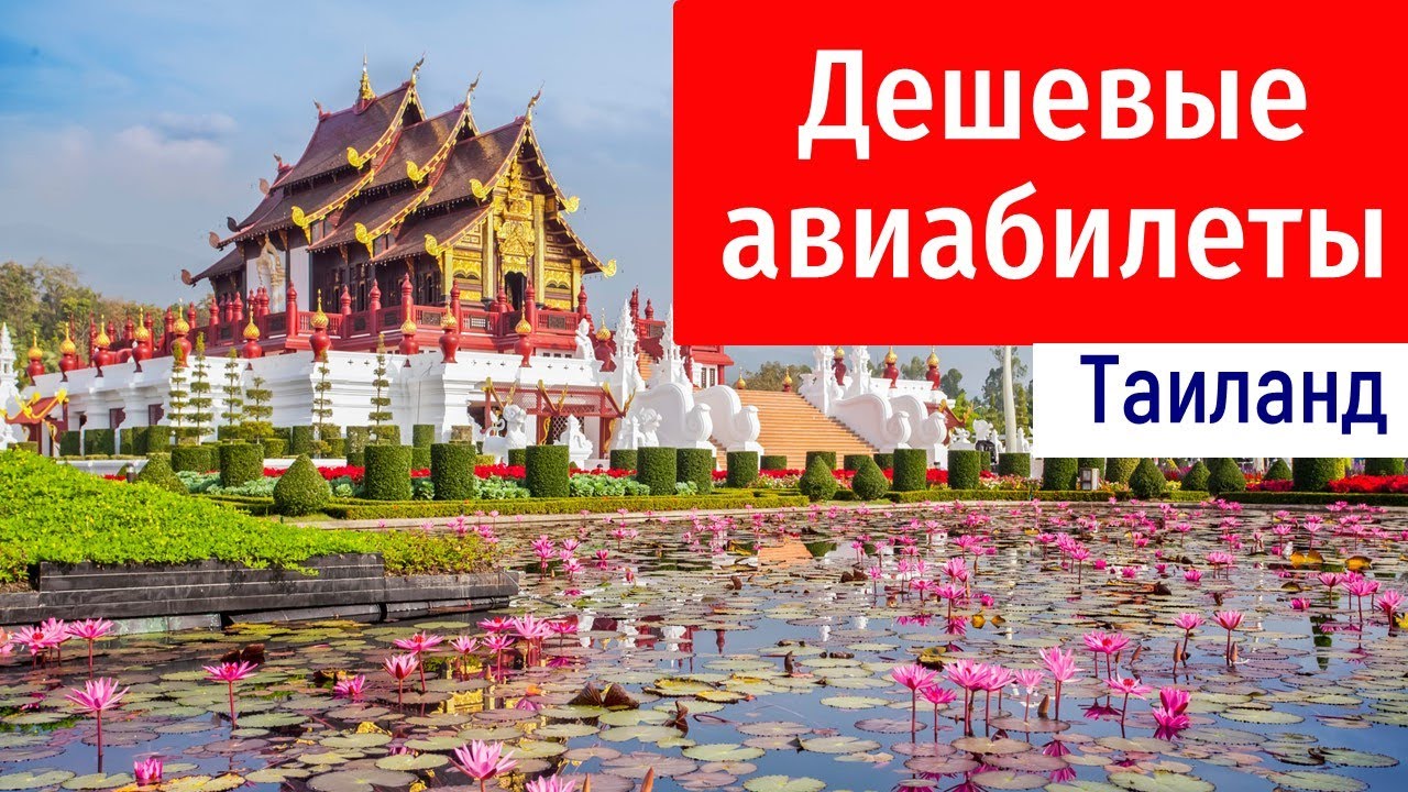 Дешевые авиабилеты в Таиланд. Лето 2024. Все про китайские авиалинии