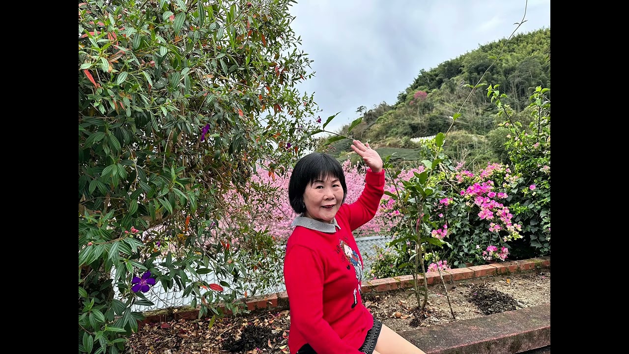 春暖花開又是追花好時節