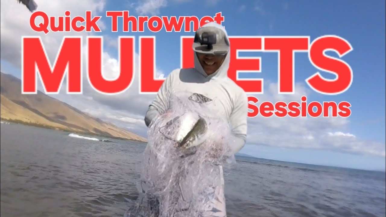 Quick After Work Thrownet Session  5/17/25