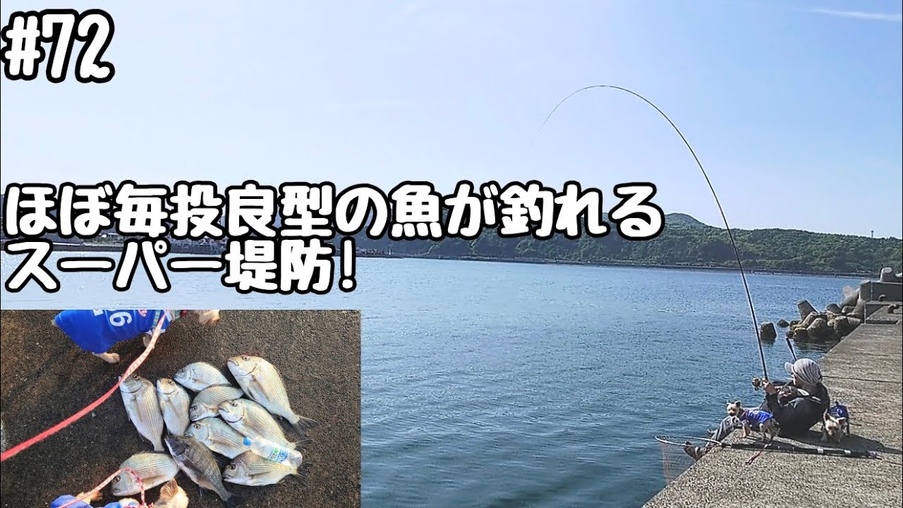 72話 タナに着くとほぼ毎投良型が釣れる堤防