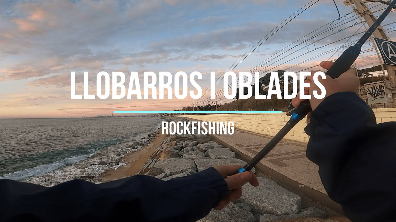 Llobarros i oblades