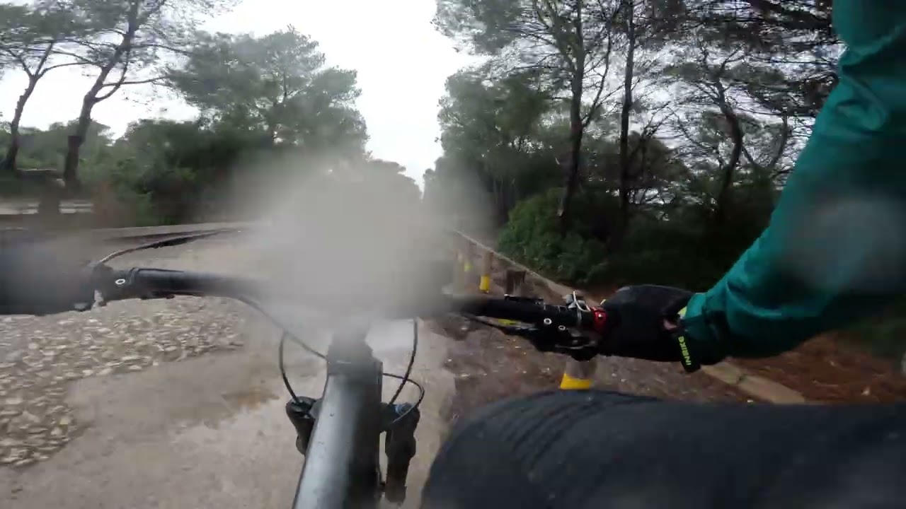 Like the deserts miss the rain