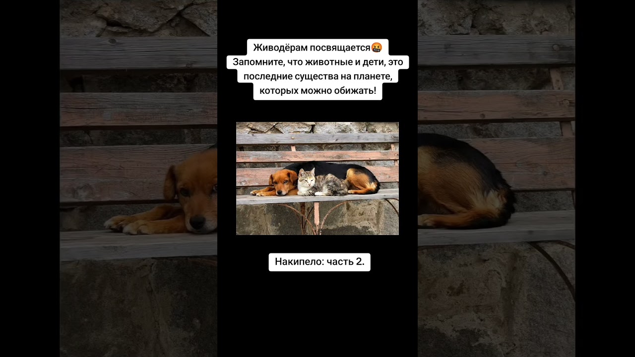 Думаю многие поддержат мои мысли 💯