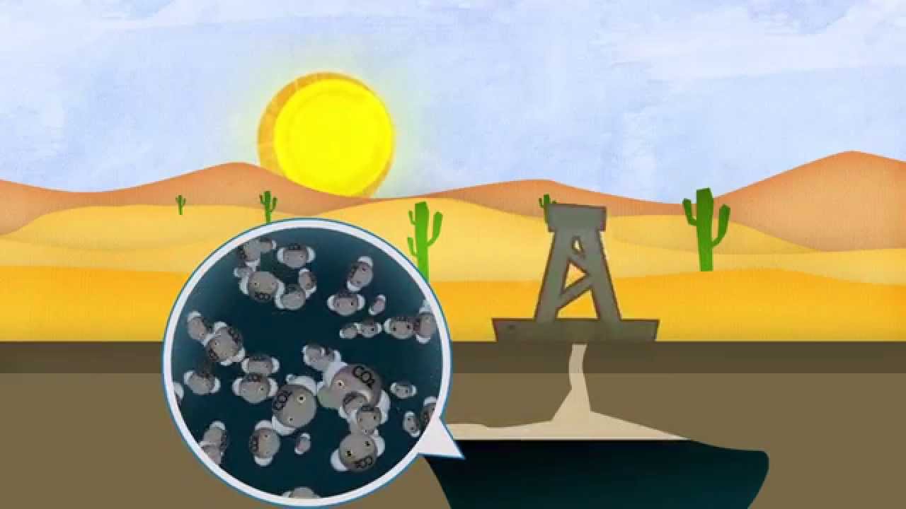 Che cosa sono le biomasse?