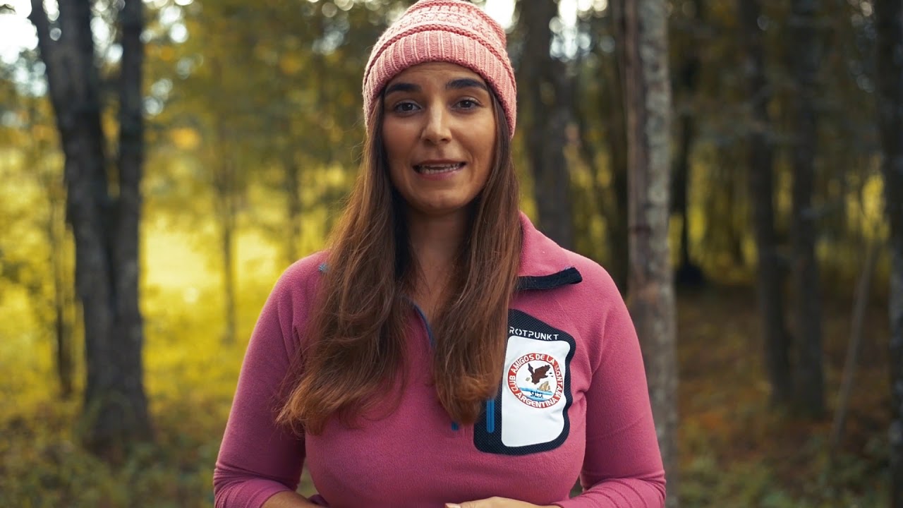 ¿Cómo alimentarse y qué alimentos llevar para una salida a la montaña?