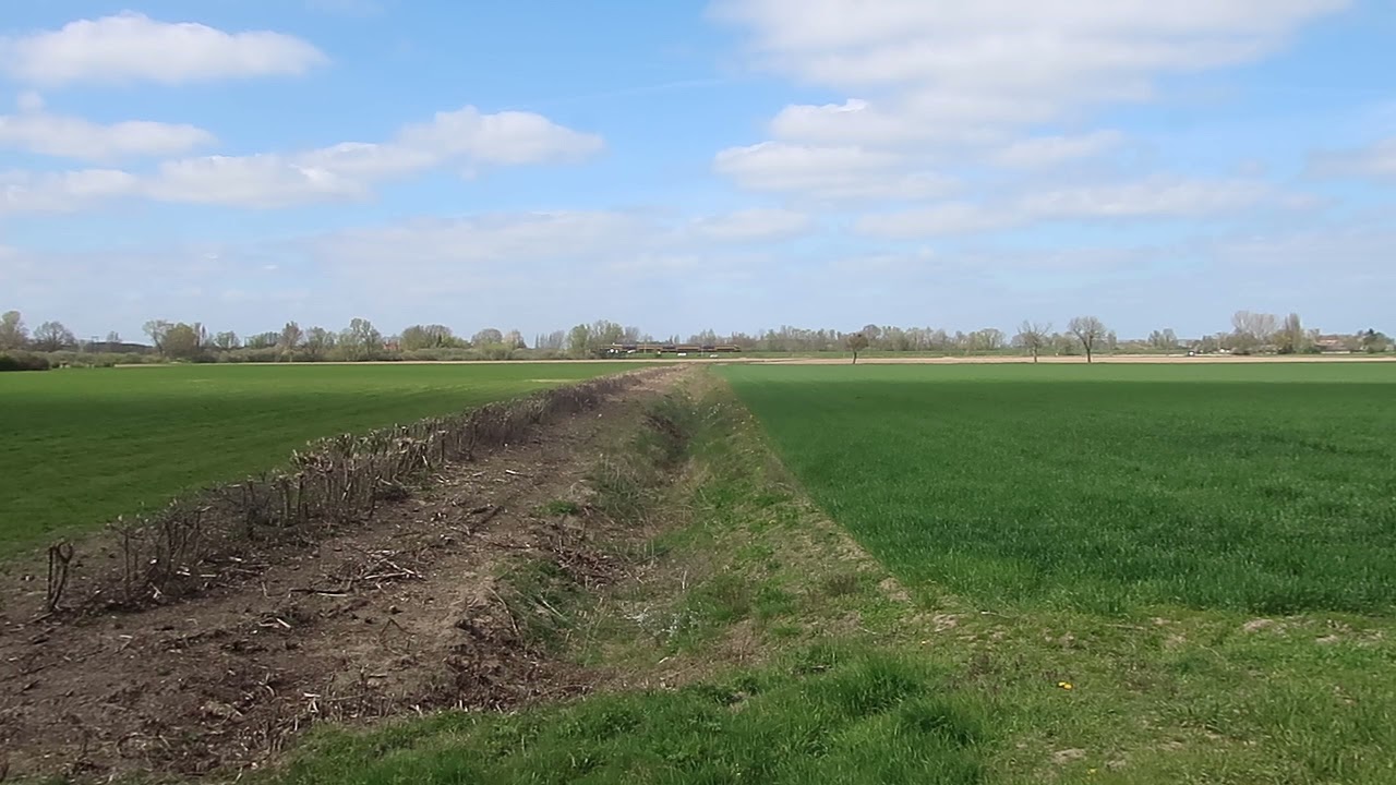 Mega weilanden voor Monsanto.. Mega leed voor onze mooie natuur.