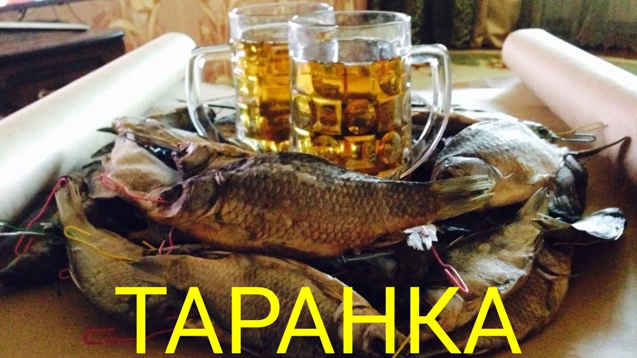 КАК СУШИТЬ РЫБУ В ЭЛЕКТРИЧЕСКОЙ СУШИЛКЕ 