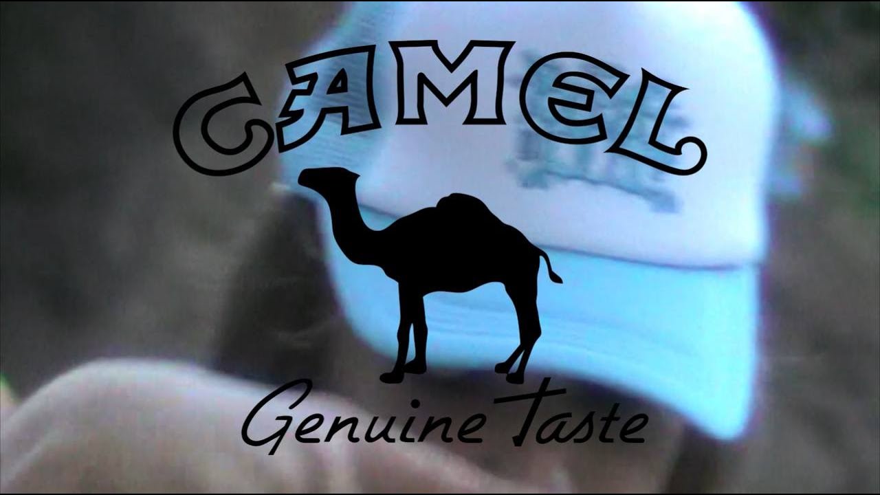 RUMO - CAMEL [Official video]