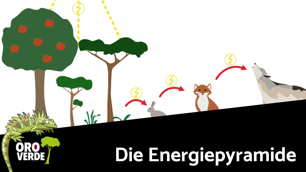 Wer frisst wen?