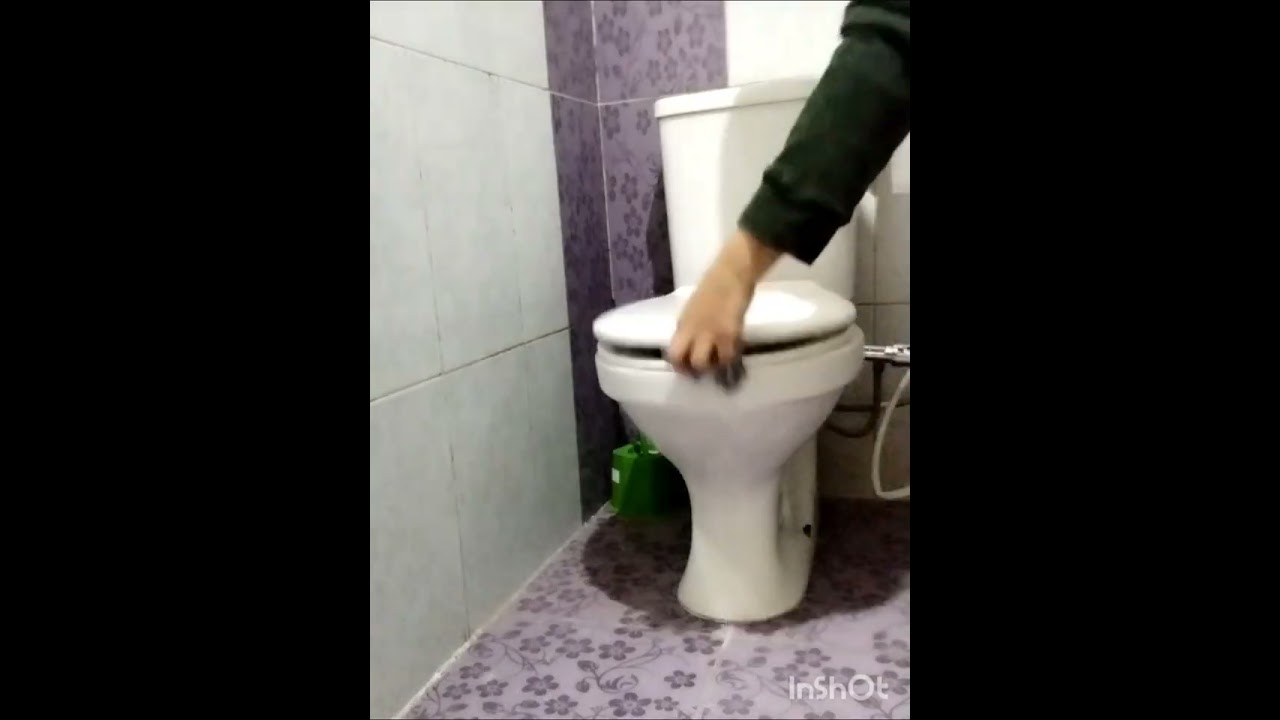 روتين يومي تنظيف الحمام روتين تشجيع وتحفيز