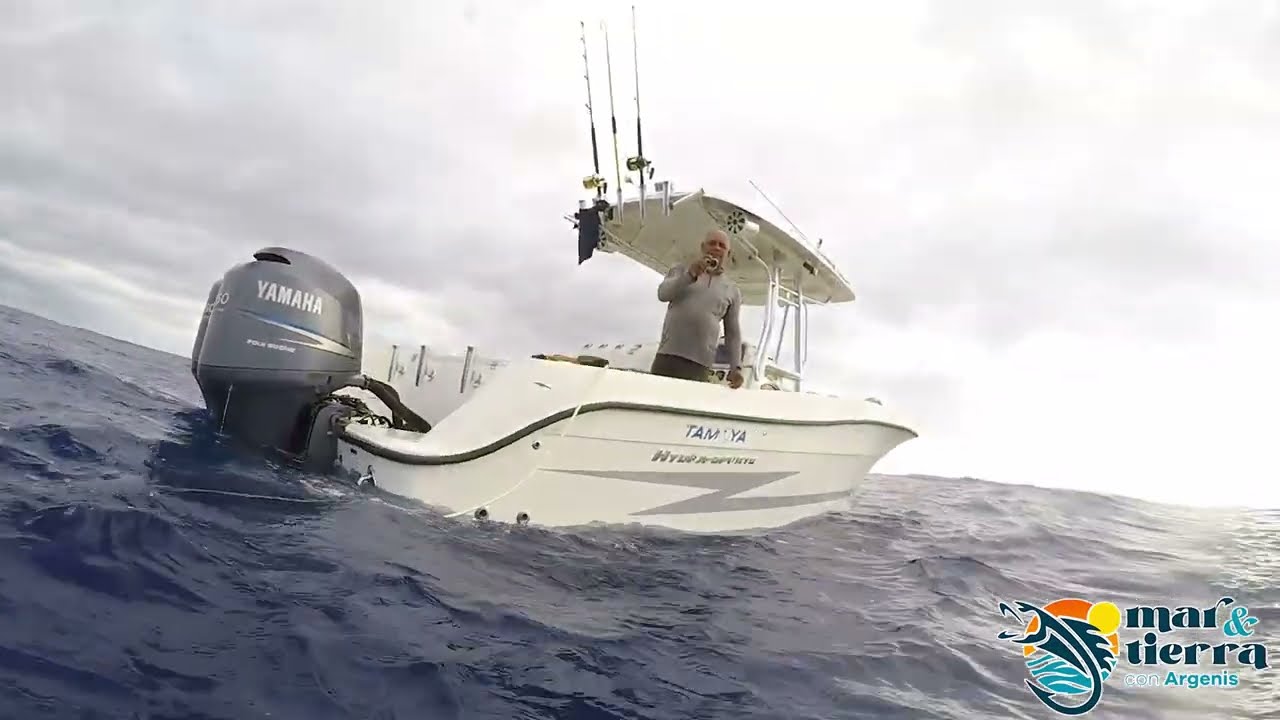 Pescasub de carrucho o lanbi, mero pinto y el pez ballesta o barraco