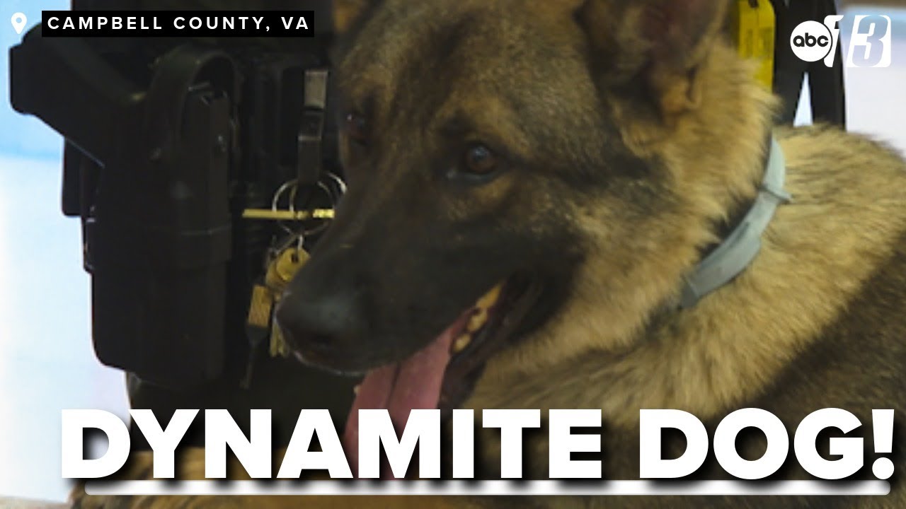 Campbell County employs new four legged officer to detect explosives