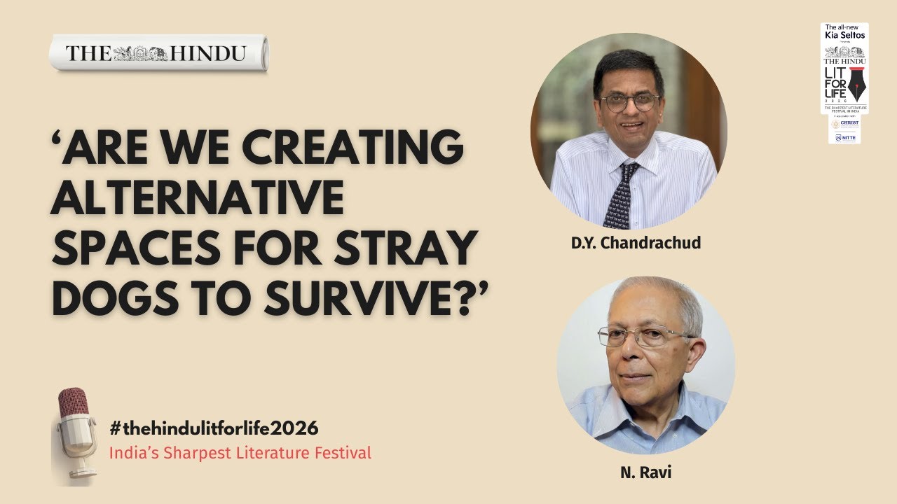 DY Chandrachud's take on handling of stray dogs, and the limitation of the courts