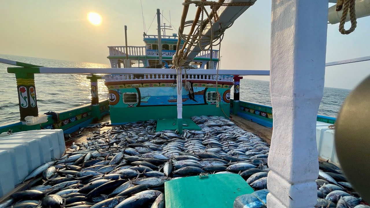 Dream Catch ya Painful Start? 😱🎣 Pehle din hi haath vench mein aa gaya! | S02-EP01