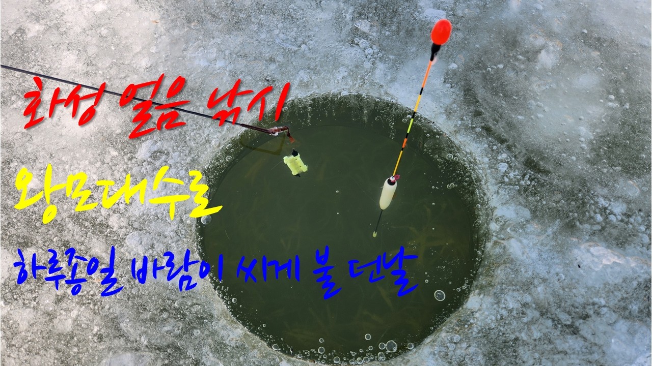 2026년 2월 8일 왕모대수로얼음 낚시 ~ 하루종일 바람이 강하게 불던 날 ~ #얼음낚시 #얼음붕어낚시 #fishing #화성얼음낚시#붕어얼음낚시#왕모대#왕모대수로#왕모대얼음낚시