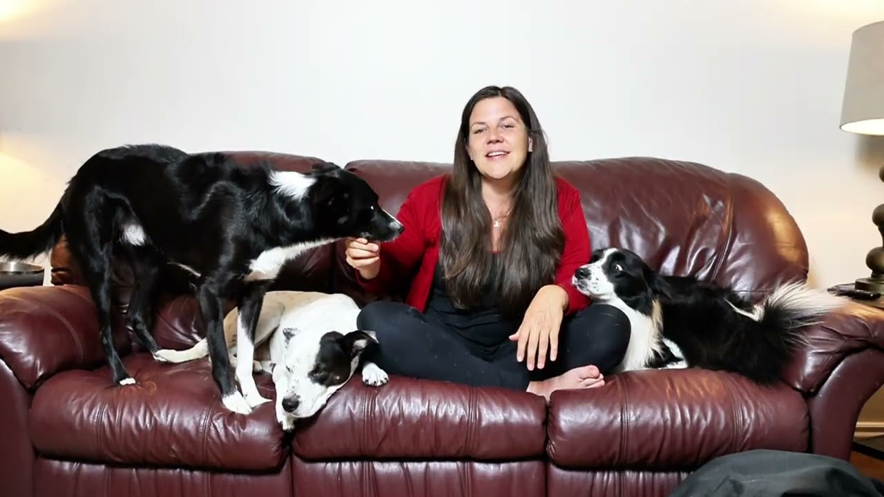 Dog Winter Coat Reviews - Showing what dog Coats work best for my dogs!!!!!