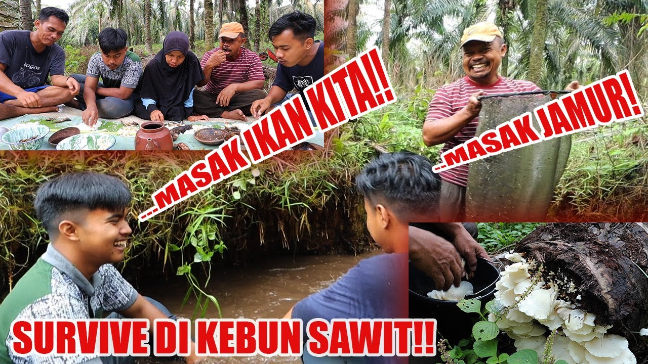 BERBURU IKAN BERBURU JAMUR! SURVIVE DIKEBUN SAWIT SEHARIAN!! FULL SQUAD!!!