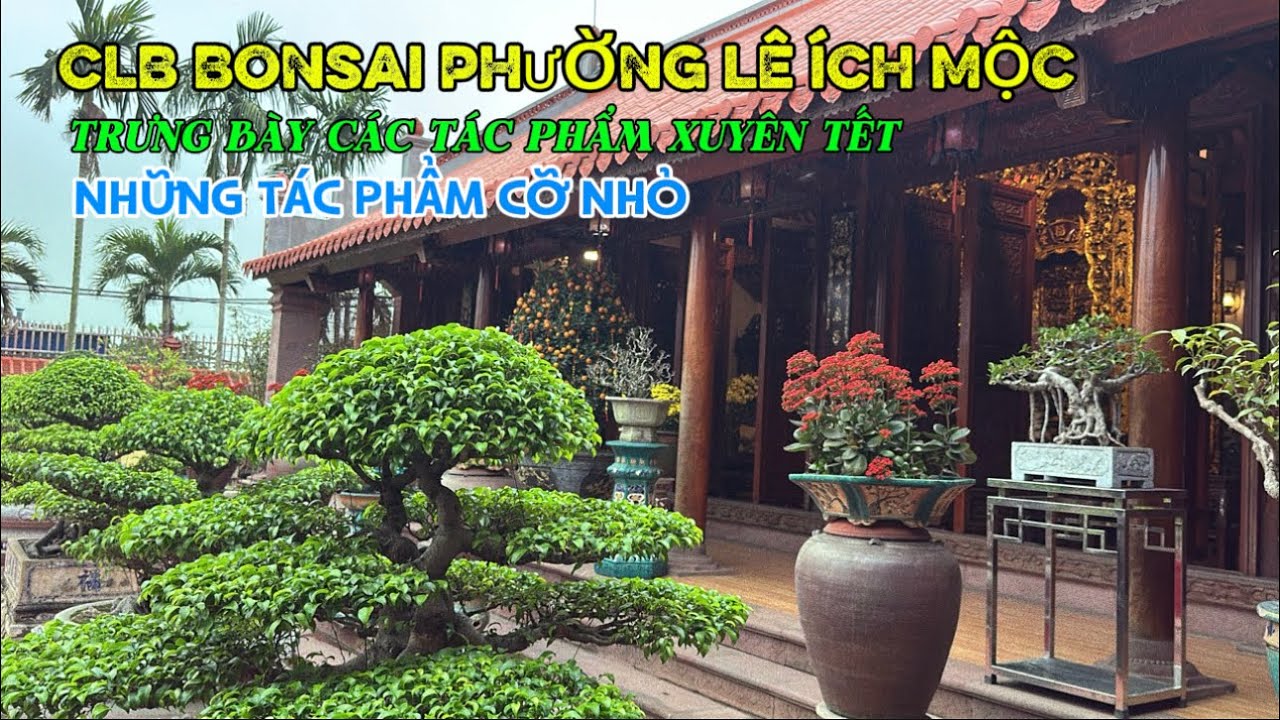 TRƯNG BÀY XUYÊN TẾT, TLSVC P. Lê Ích Mộc , Những Tác phẩm MiNi | Quảng Tùng