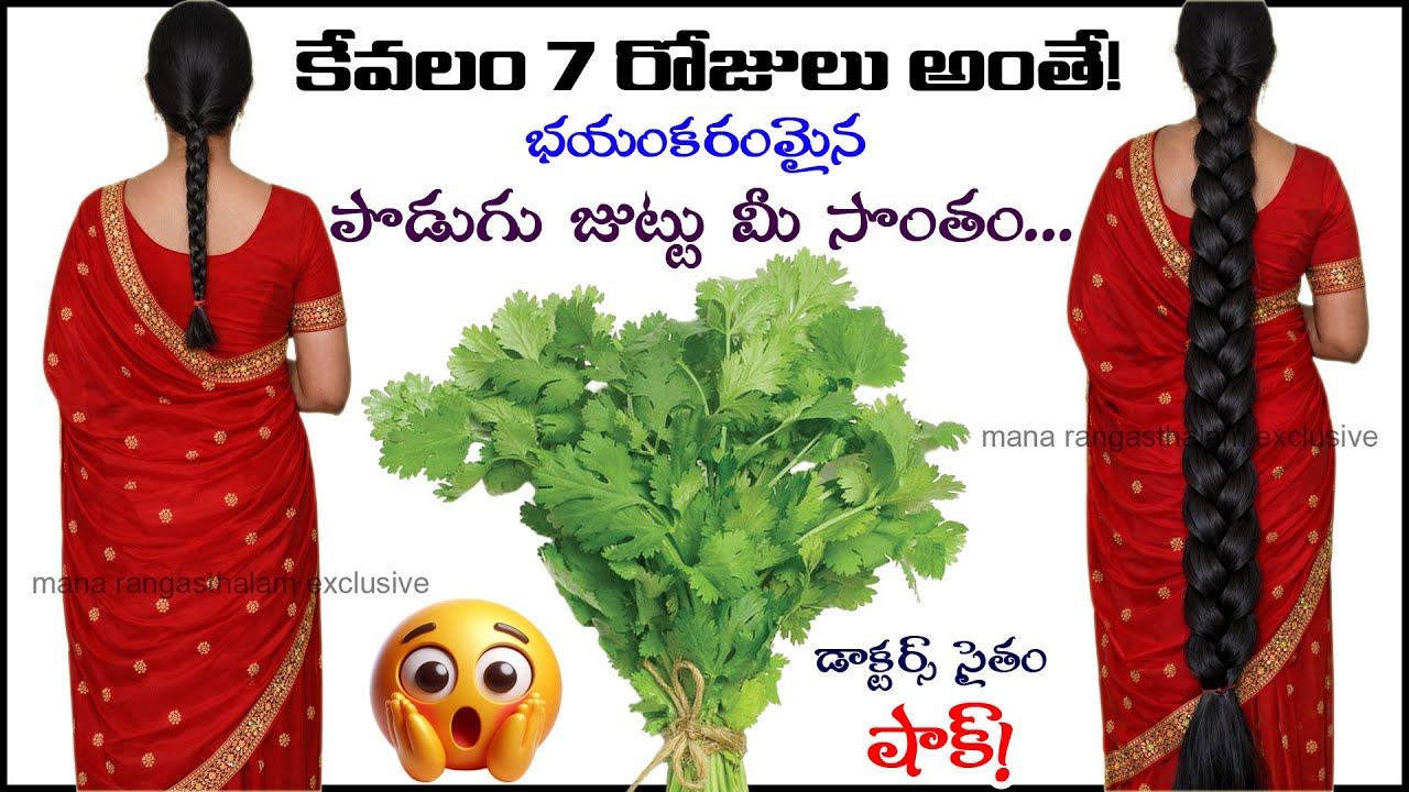 🌿 కొత్తిమీర మాయ 🌿🌿 కొత్తిమీర ఆకులతో ఇది కలపండి 💚 ఒత్తుగా నల్లగా పొడవుగా🚀 పెరుగుతూనే ఉంటుంది 💯