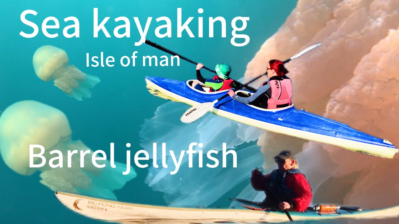 Massive barrel jellyfish on a sea kayak adventure from port Erin to fleshwick and back, Isle of Man