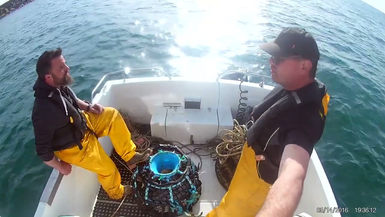 Prise d'un congre dans un casier a crustacés a bord d'un Esteou 630