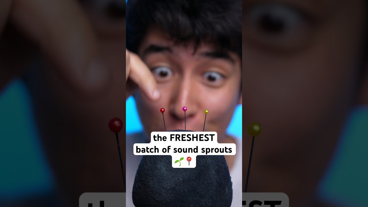 the FRESHEST batch of sound sprouts 🌱📍 
