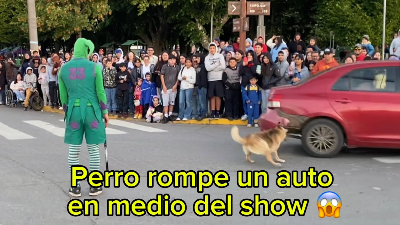 BUFÓN NAMASTÉ en Arauco de Chile / Gira “Avanche al centro sur de chile” 