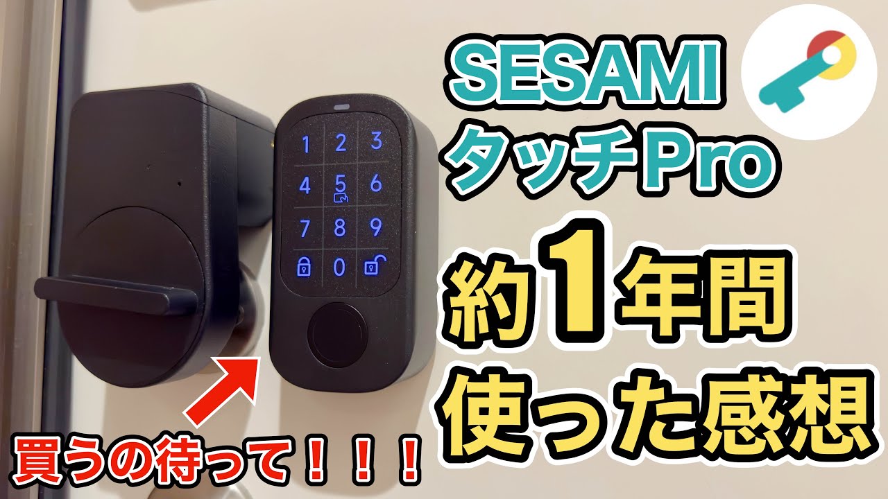 問題点や改善点が見えてきた！結局セサミタッチどどっちがいい？？セサミタッチPROを約1年間使ってみての感想。