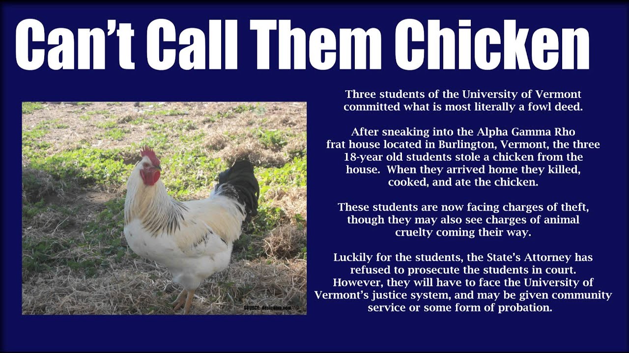 Knowledge Vault 5 Curious Crimes Involving Animals