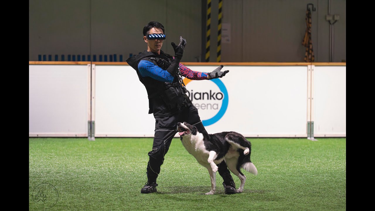 FCI Dogdancing World Championship 2025🇫🇮 in Freestyle Tetsuro Ito & Sunny
