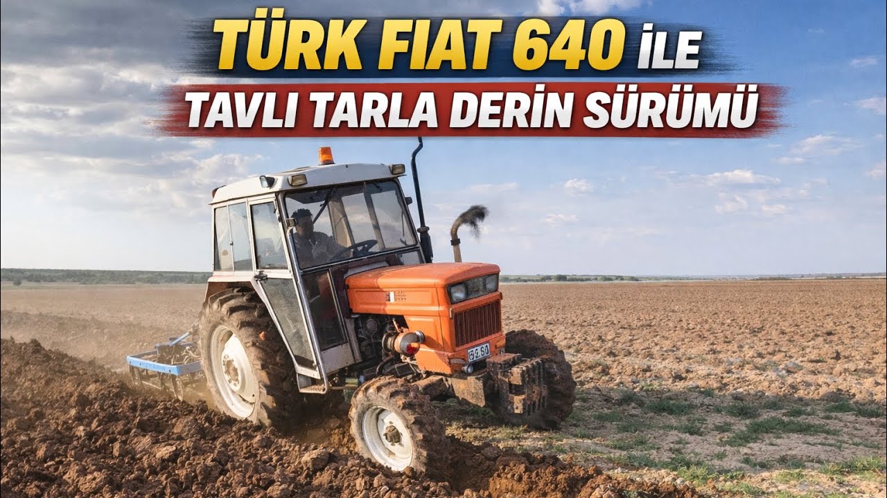 🚜 Türk Fiat 640 ile Tavlı Tarla Derin Sürümü! | Baba-Oğul Alpler 3'lü Pullukla İş Başında 💪🌾