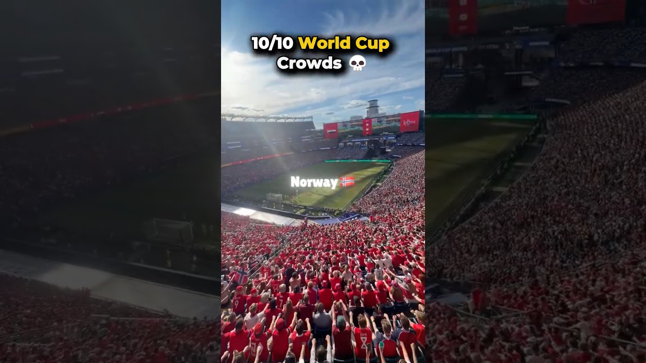 10/10 WORLD CUP CROWD CELEBRATIONS 🎉