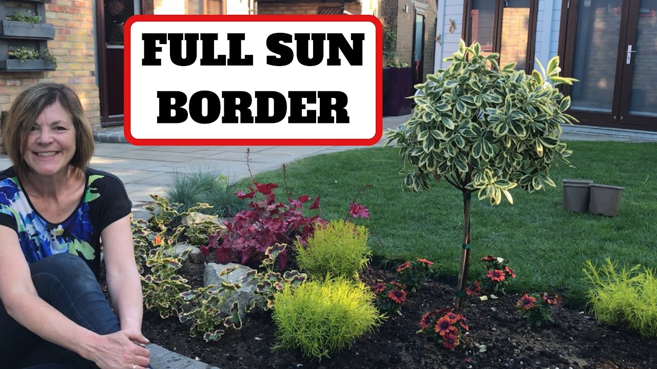 Full Sun Border 🌞