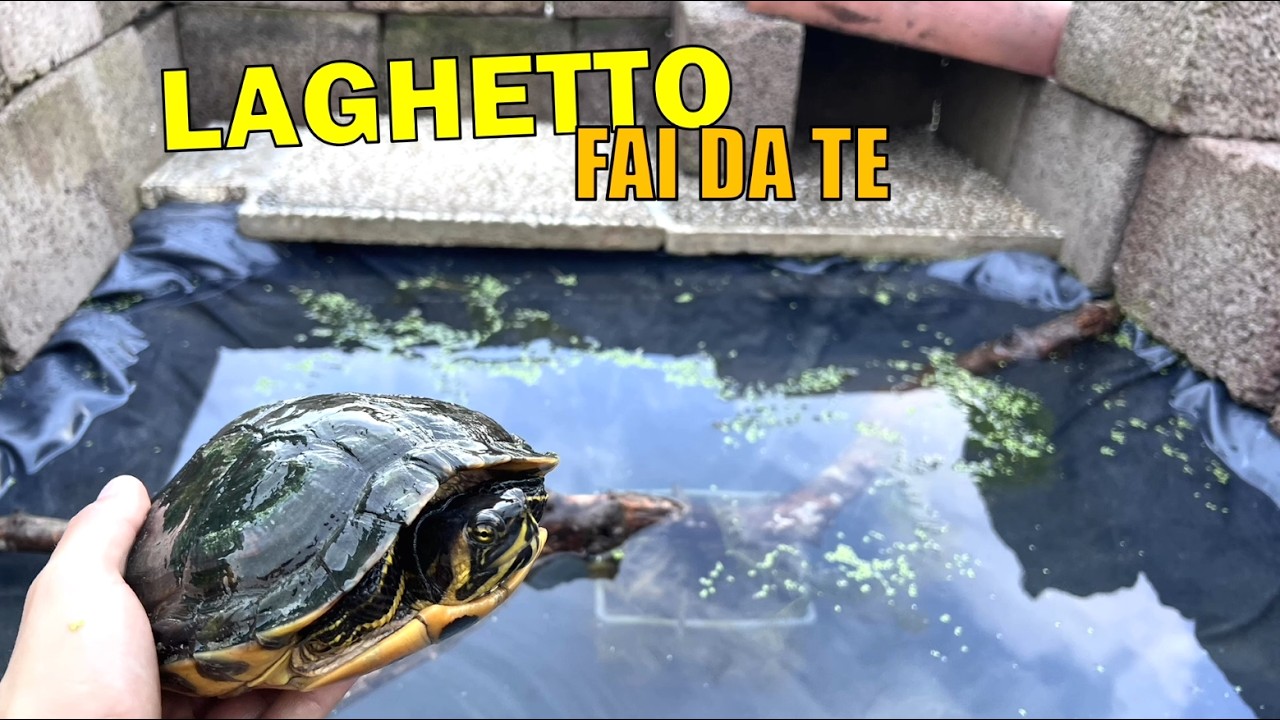 realizzo un LAGHETTO FAI DA TE per TARTARUGHE ACQUATICHE!